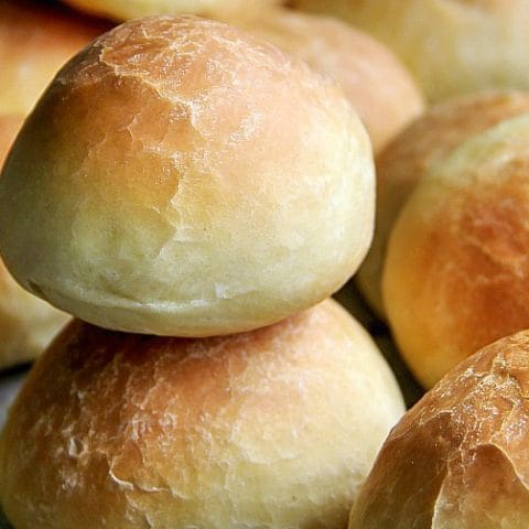 Homemade Dinner Rolls