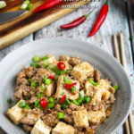 Sichuan Mapo Tofu